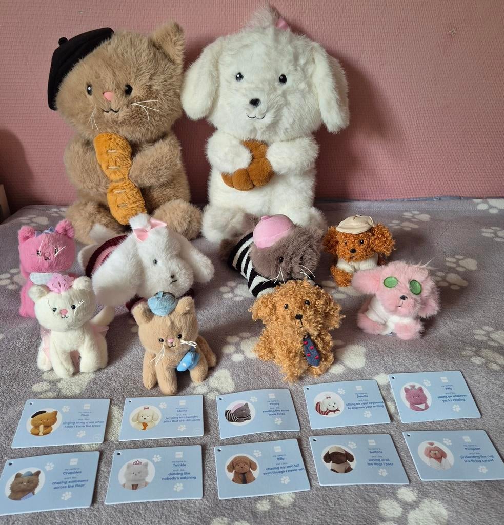 Hema adoptieknuffels hondjes & katjes NIEUW, Hema, Overige karakters, Nieuw, Middelgroot (20 tot 80 cm)