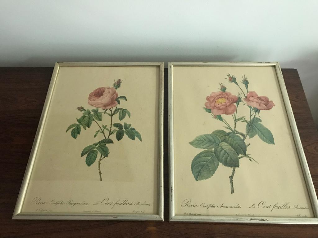 Set van 2 lijsten kaders rozen achter glas, Antiek en Kunst, Curiosa en Brocante, Ophalen of Verzenden
