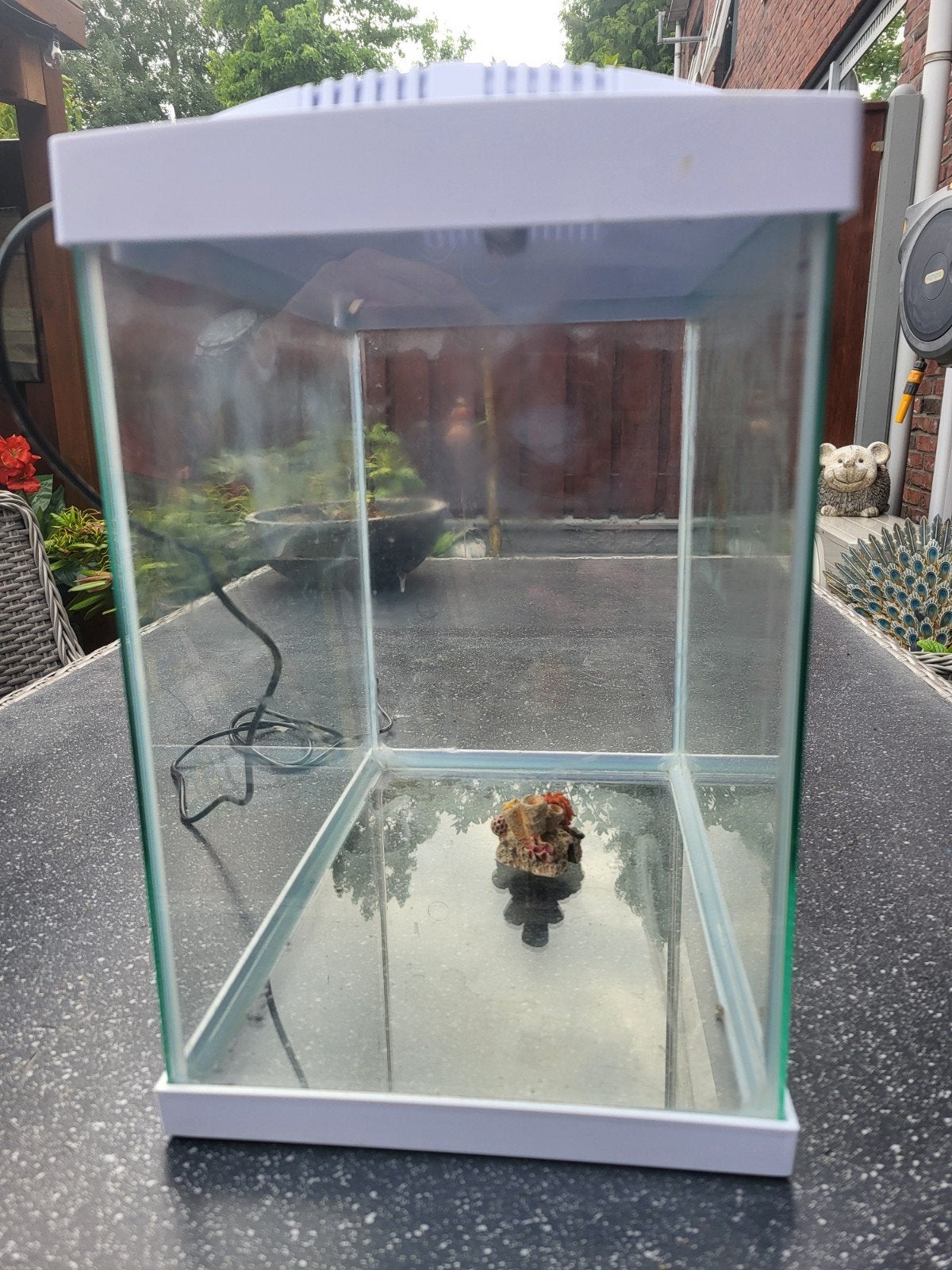 Aquarium te koop, Dieren en Toebehoren, Ophalen, Leeg aquarium