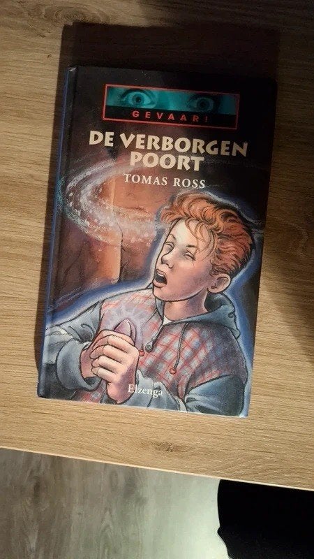 De verborgen poort - Tomas Ross, Gelezen, Ophalen of Verzenden, Fictie, Tomas Ross