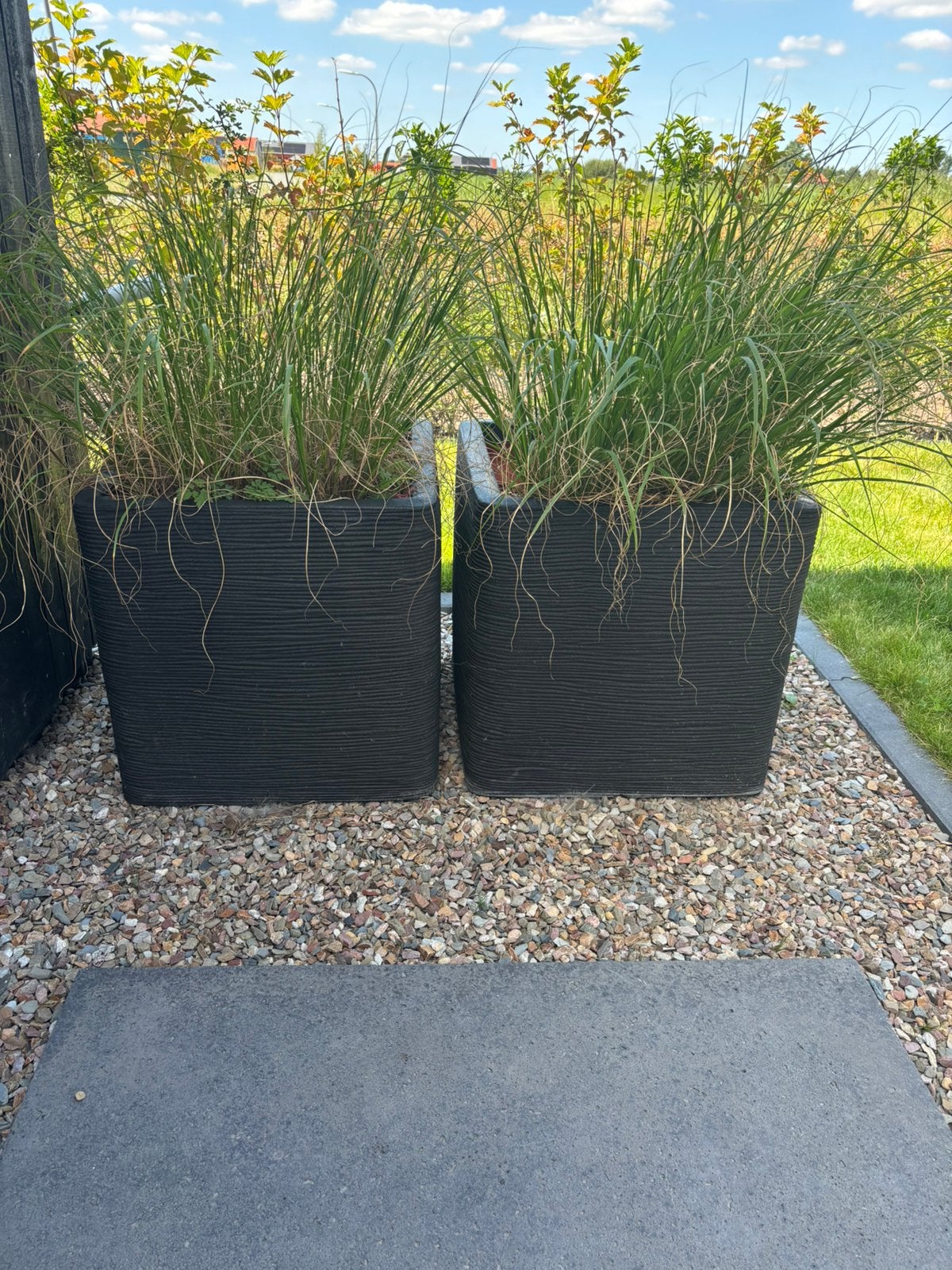 2x Capi Europe bloempot Nature-Rib zwart 50 x 50 x 50 cm, Ophalen, Kunststof, Minder dan 60 cm, Vierkant