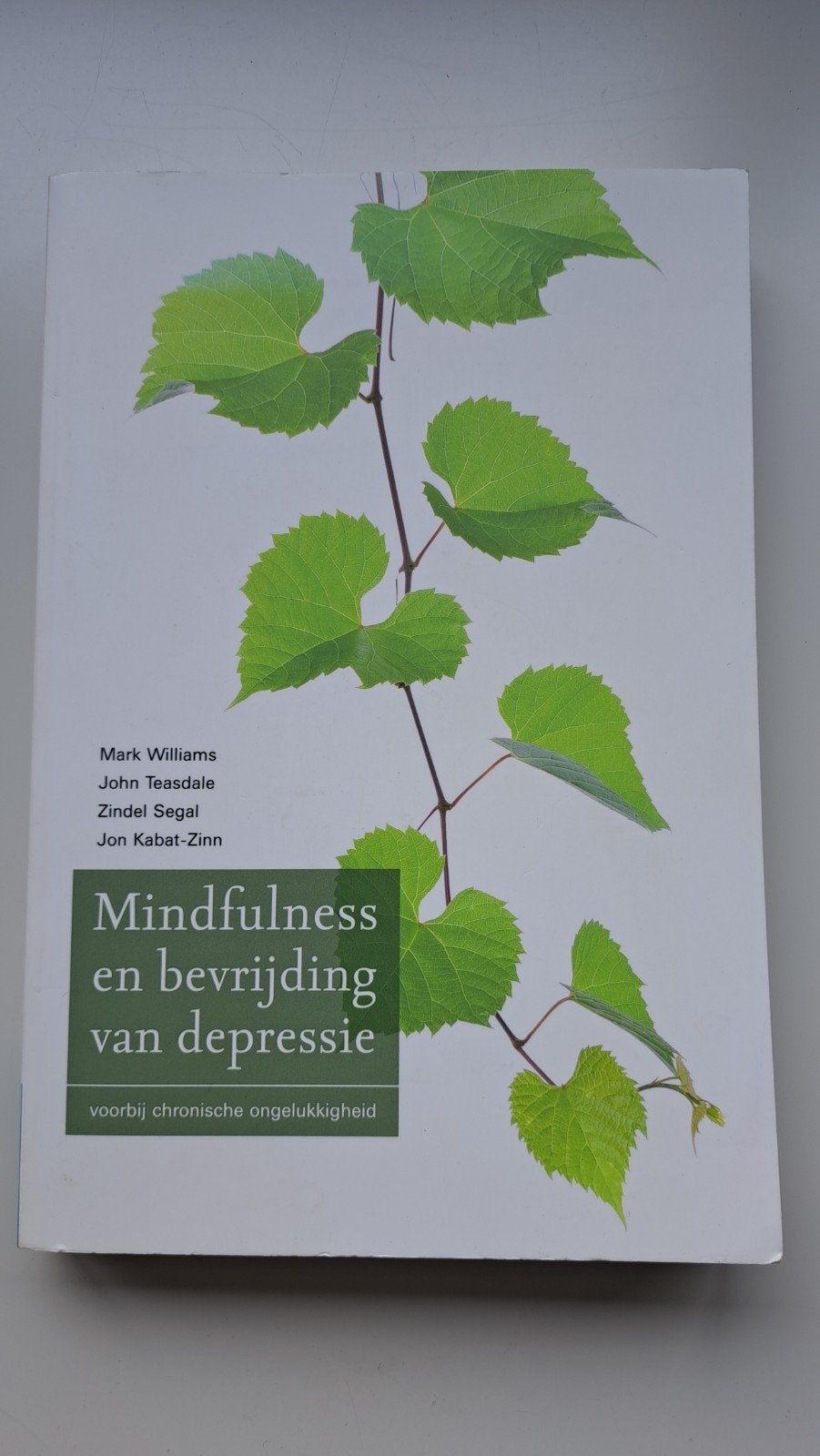 Mindfulness en bevrijding van depressie, Boeken, Ophalen of Verzenden