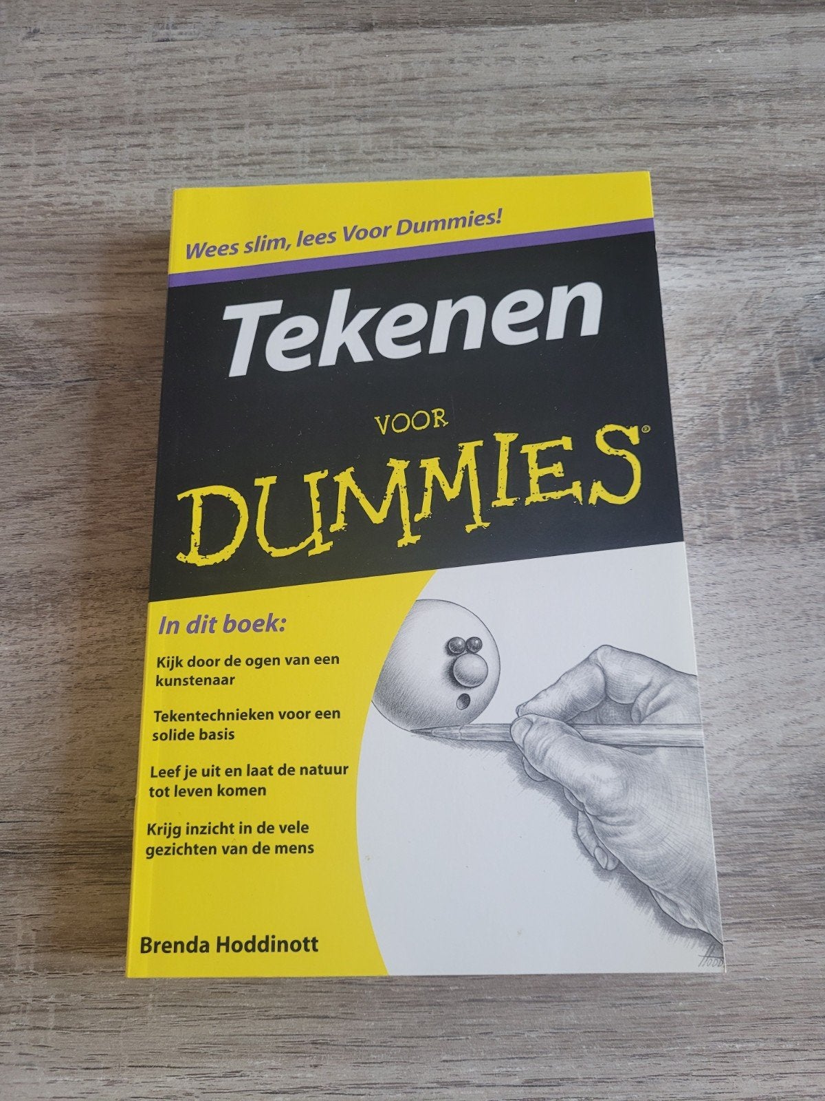 Tekenen voor Dummies - Leer tekenen als een kunstenaar, Ophalen, Zo goed als nieuw, Boek of Gids