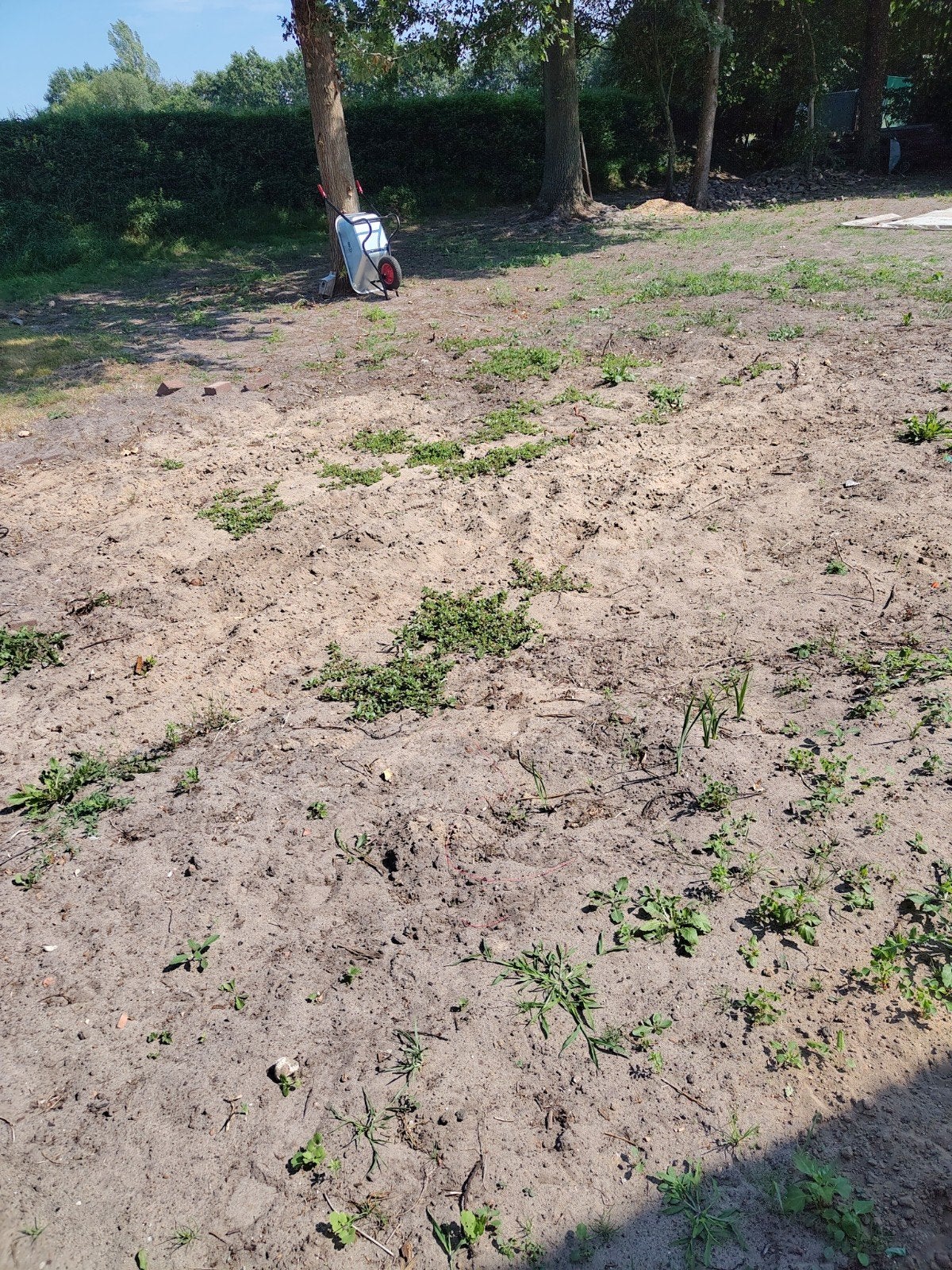 Zand gratis storten, Zwolle, Tuin en Terras, Zand, Ophalen