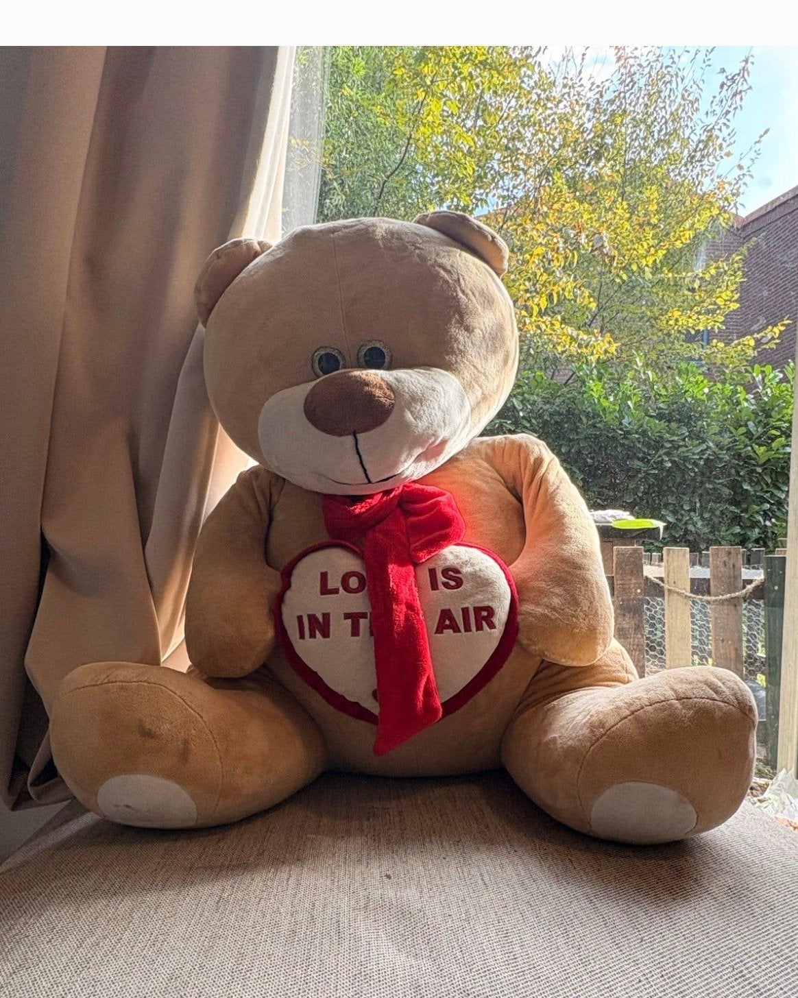 Grote knuffelbeer met 'Love is in the air' hart, Overige merken, Overige karakters, Beer, Ophalen of Verzenden