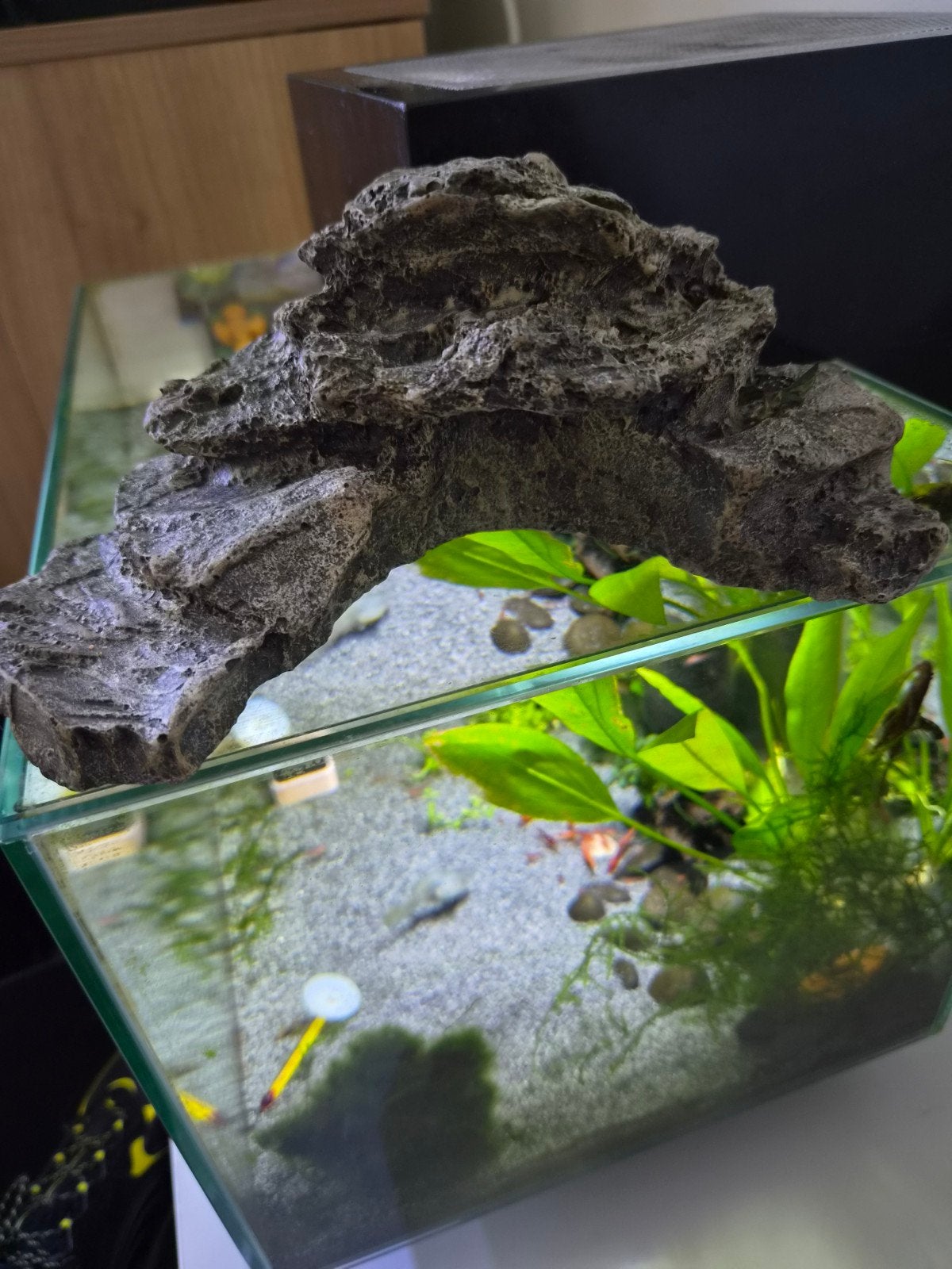 nep steen voor aquarium beeldje, Ophalen