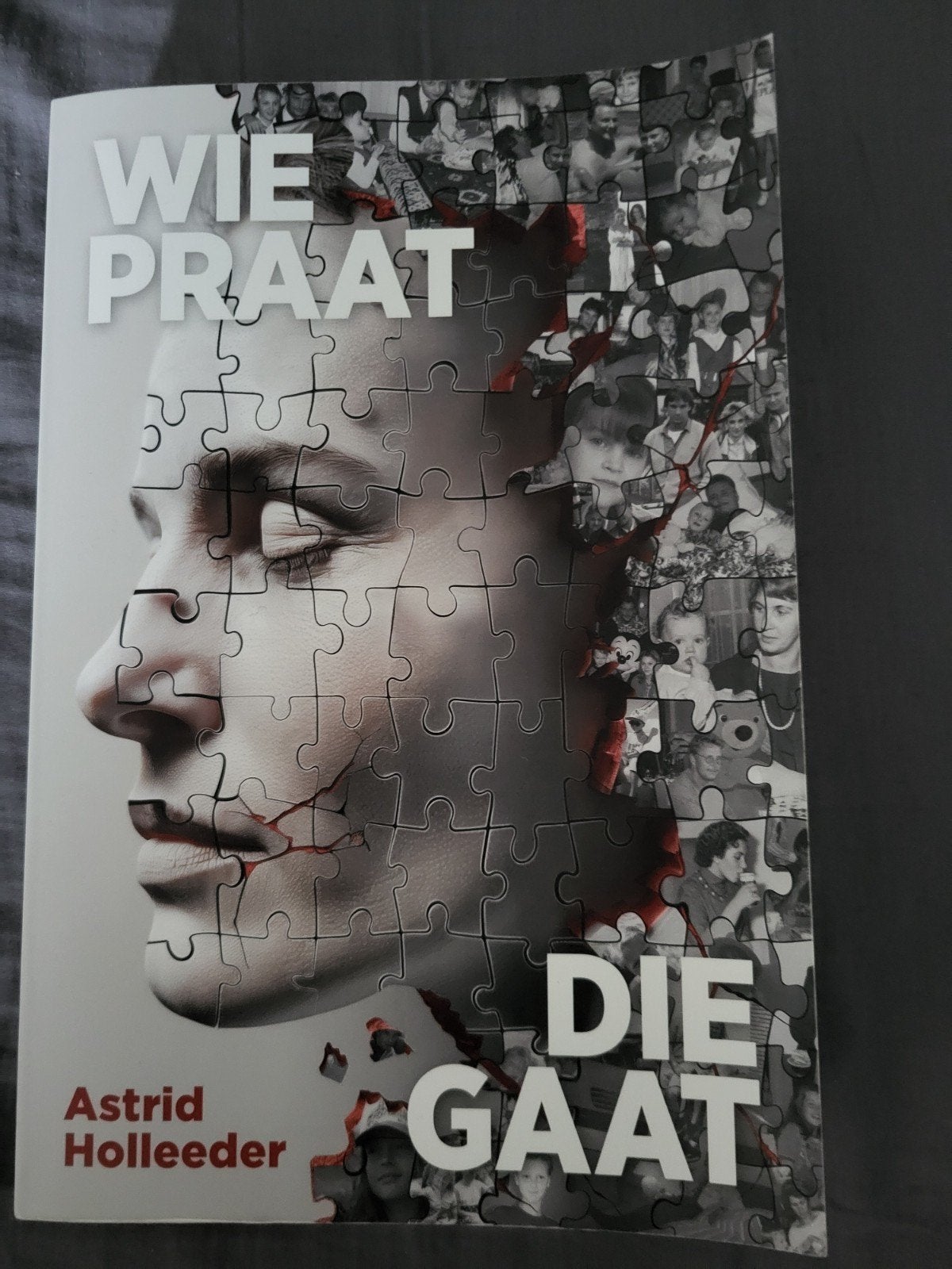 te koop aangeboden , boek astrid holleeder, Ophalen of Verzenden, Zo goed als nieuw, Overige