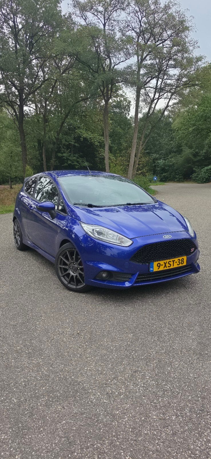 Ford Fiësta ST 1.6 Ecoboost 3DR 2014 Blauw, Voorwielaandrijving, 1063 kg, 4 cilinders, Leder en Stof