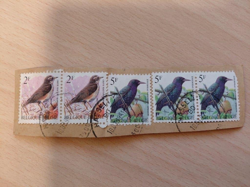 Belgie vogels Spreeuw, koperwiek, Verzenden, Gestempeld