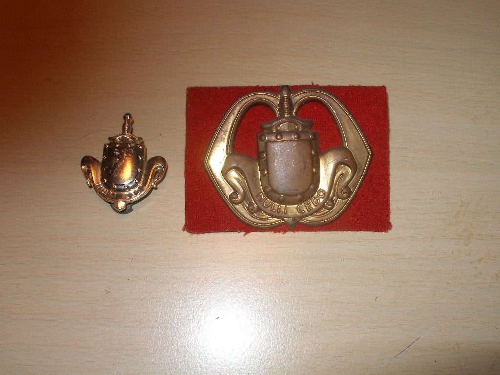 Emblemen Infanterie algemeen, Ophalen of Verzenden, Landmacht, Nederland, Embleem of Badge