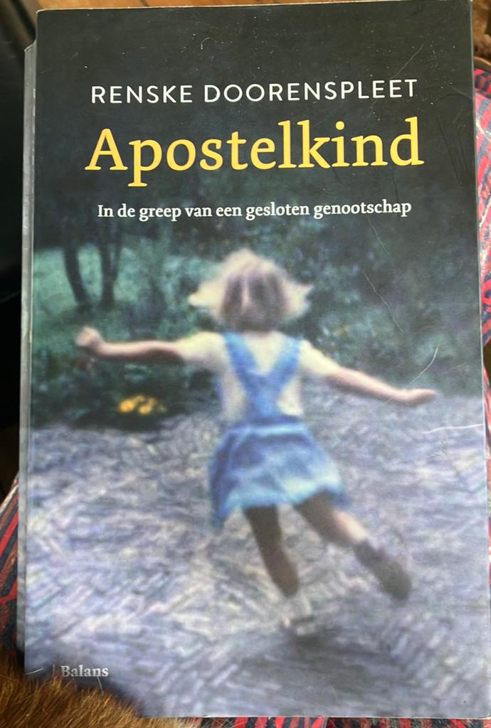 Apostelkind - Renske Doorenspleet (Zo goed als nieuw), Ophalen of Verzenden, Gelezen, Nederland