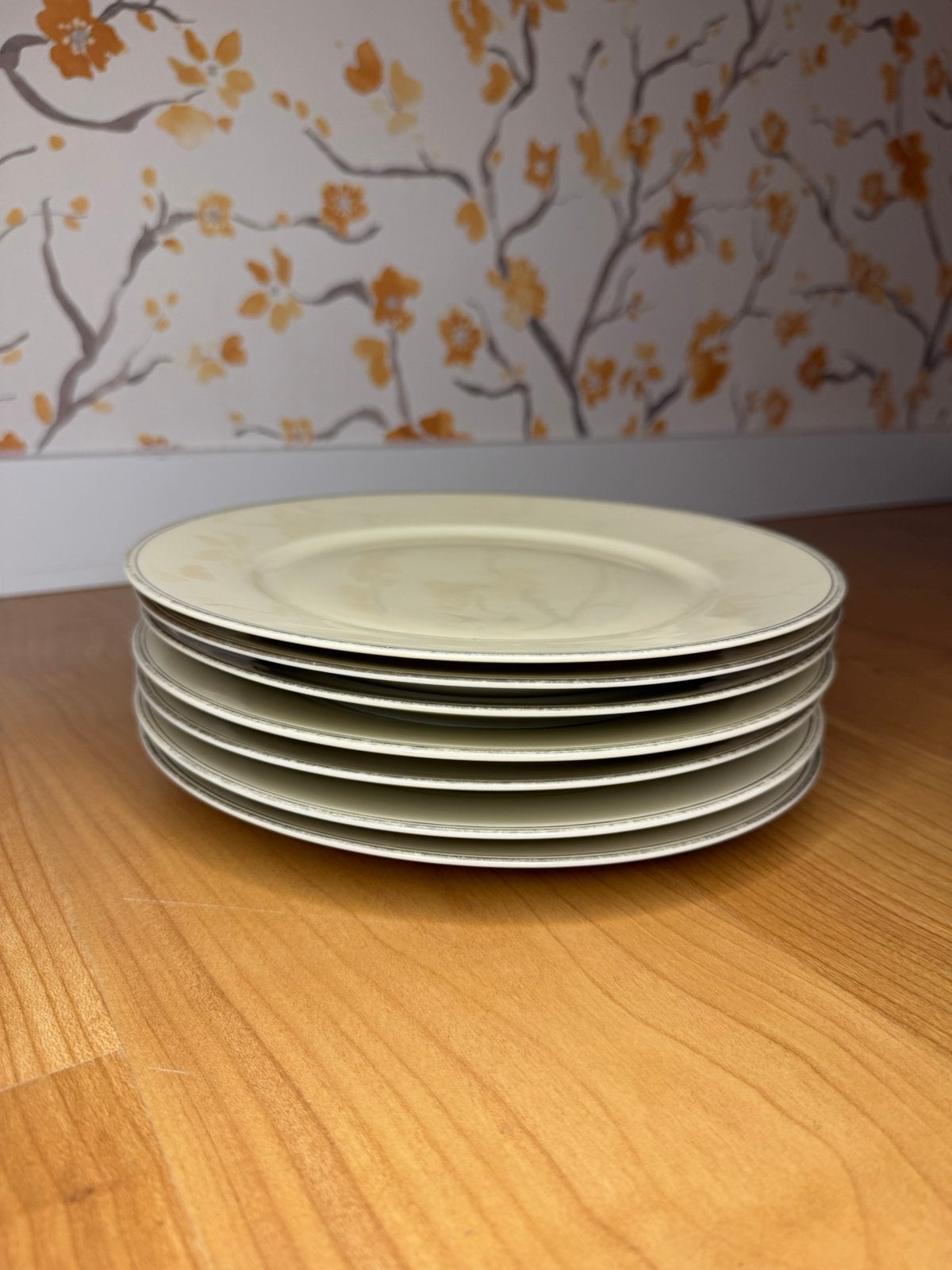 7 vintage Arzberg Bavaria dinerborden 4719 - 24,5 cm, Antiek en Kunst, Ophalen of Verzenden