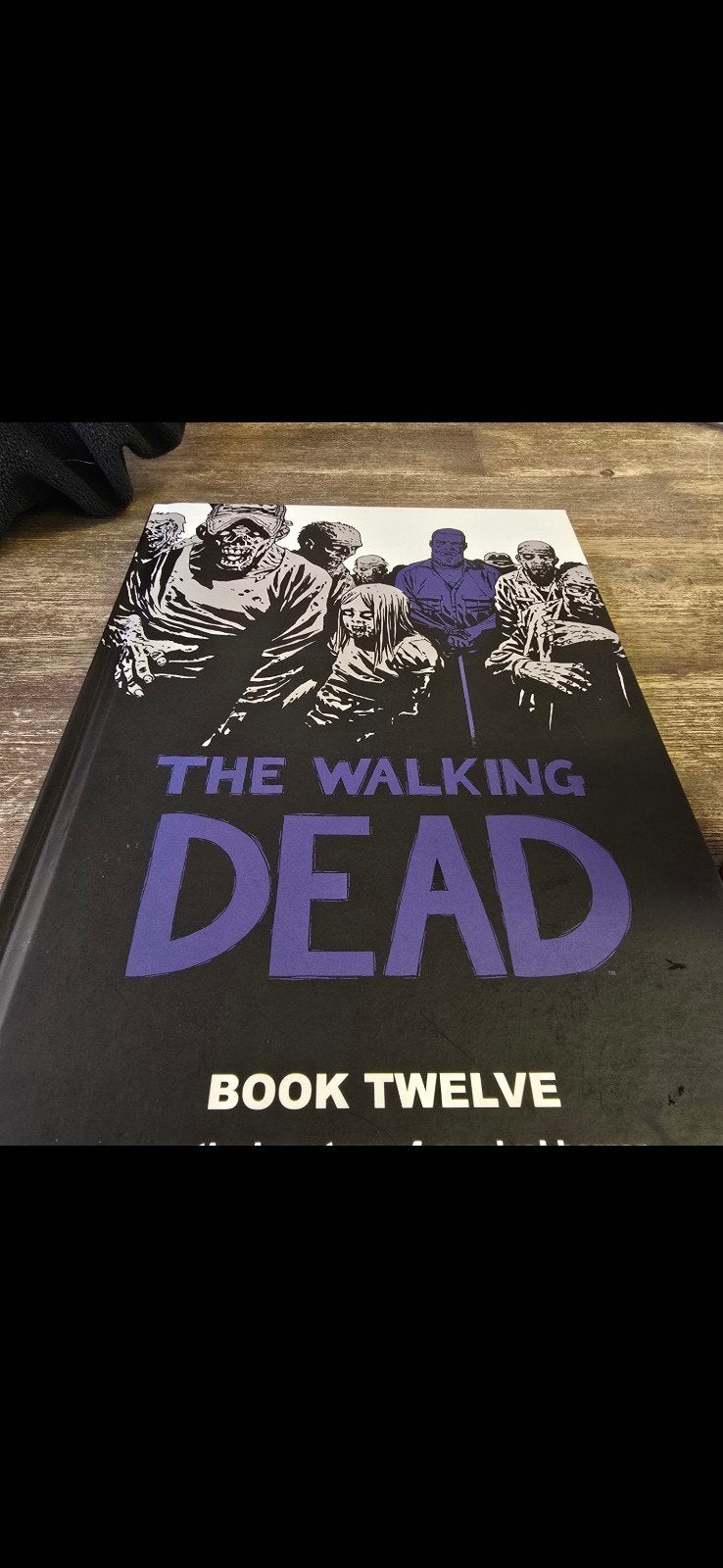 The Walking Dead - Book Twelve (Engels), Boeken, Ophalen of Verzenden, Zo goed als nieuw, Robert Kirkman