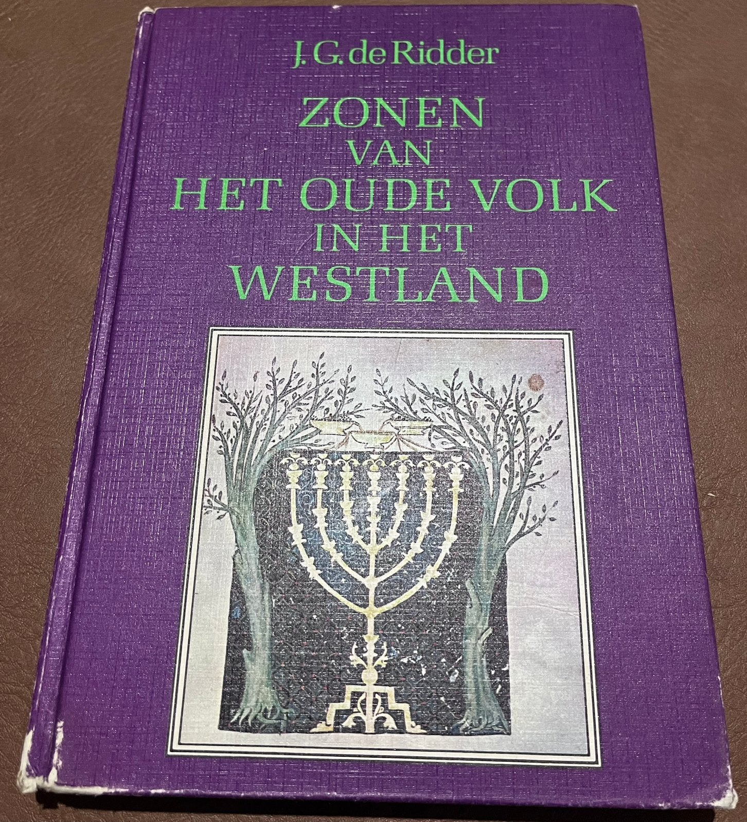 Boek - Zonen van het oude volk in het Westland -JG de Ridder, Boeken, Ophalen of Verzenden, Gelezen