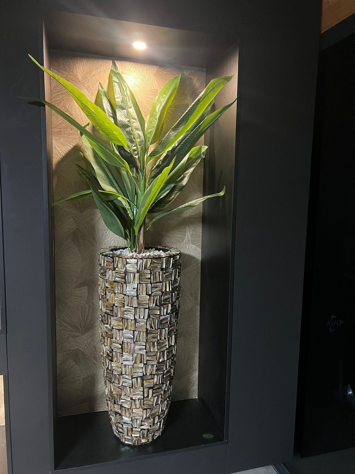 Schelpenvazen met bloesem boom, Ophalen of Verzenden