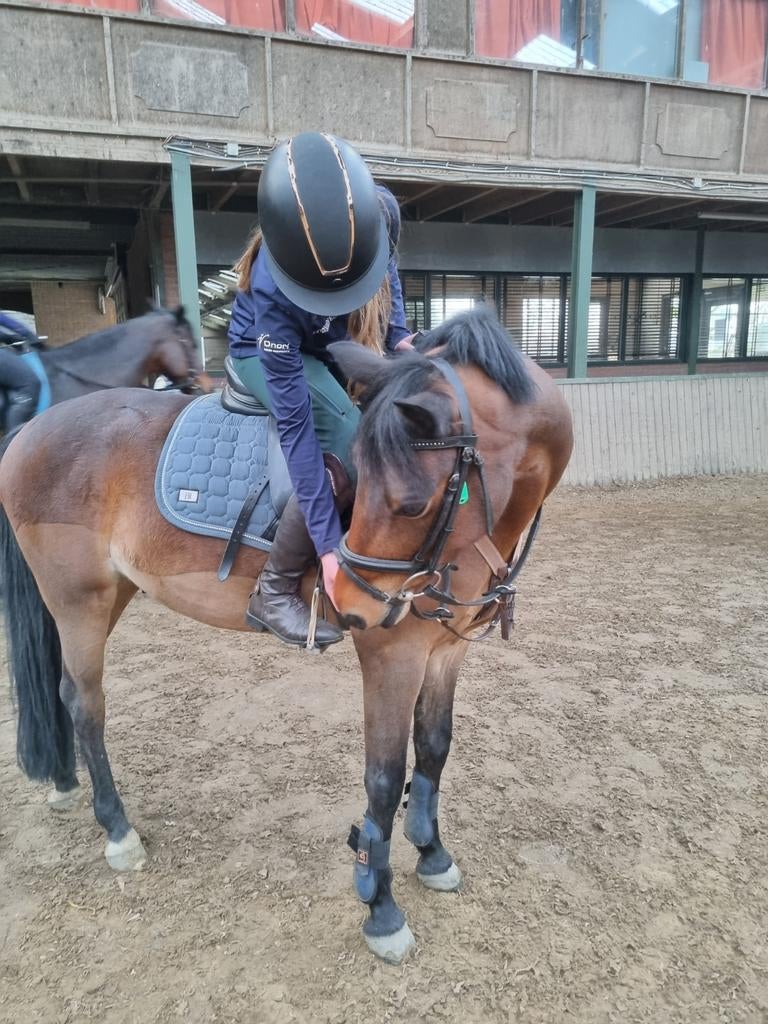 Verzorgpony gezocht!!, Dieren en Toebehoren, Ophalen of Verzenden