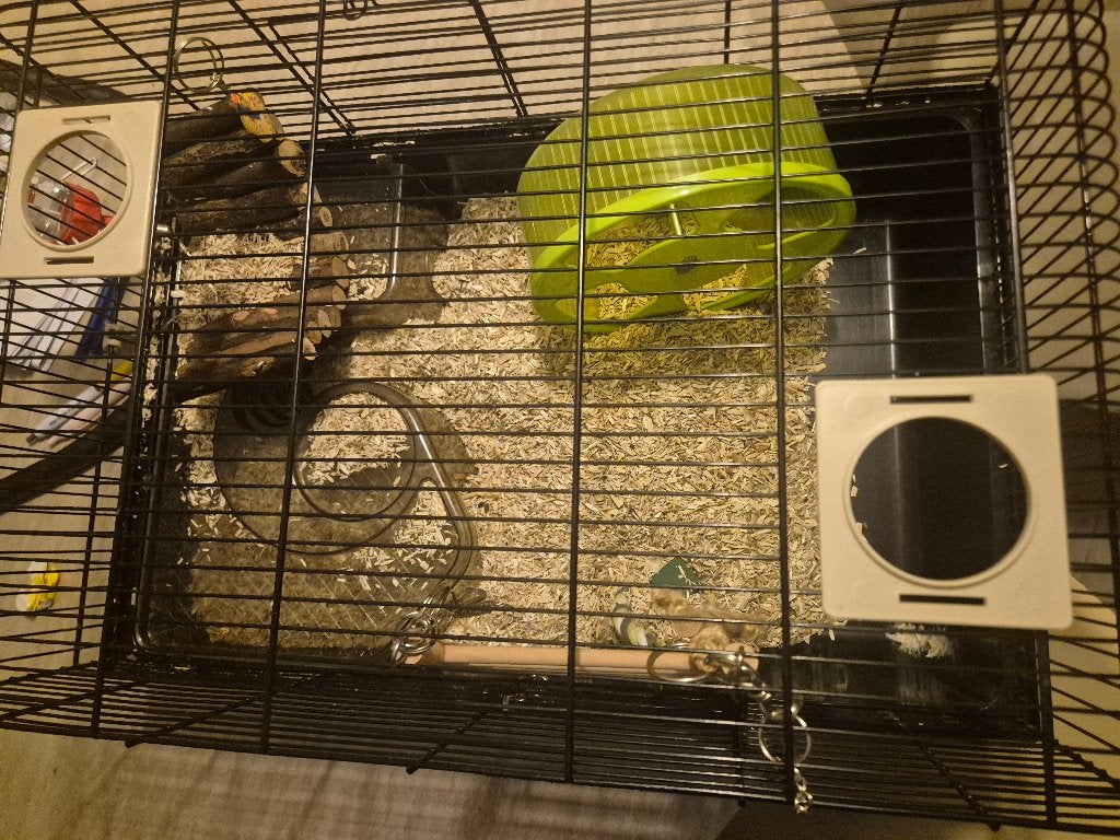 Hamster kooi, Kooi, Minder dan 75 cm, Hamster, Ophalen