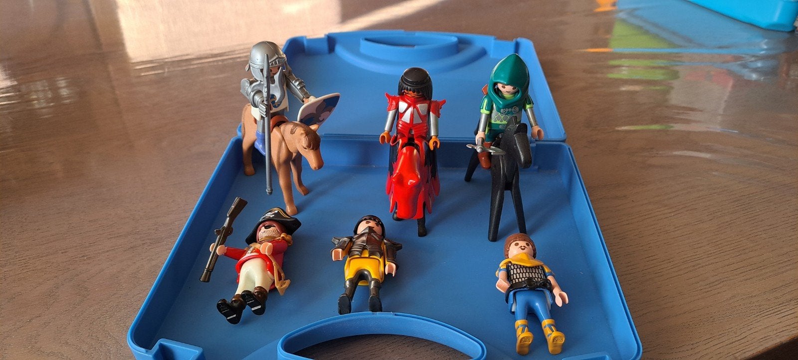 Playmobil koffer met ridders, piraat, paarden en accesoires, Ophalen, Zo goed als nieuw