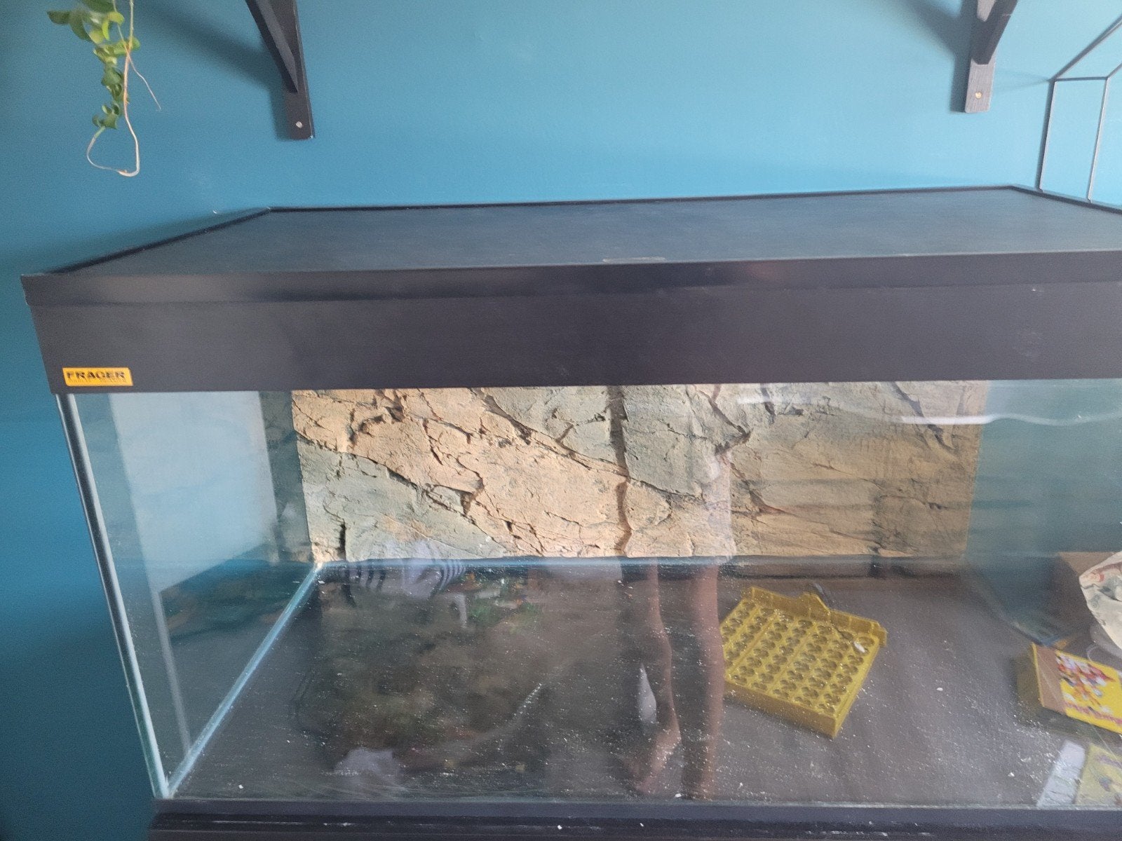 Super mooi aquarium 150 liter + allerlei benodigdheden!, Dieren en Toebehoren, Ophalen, Inclusief deksel, Leeg aquarium, Juwel