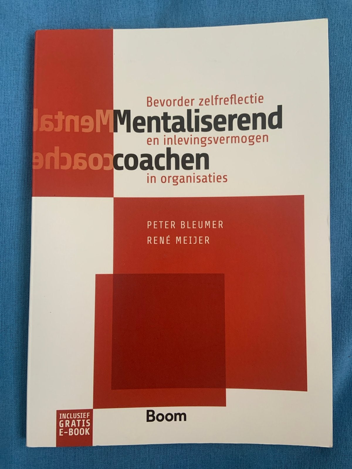 Mentaliserend coachen in organisaties - Peter Bleumer, Ophalen of Verzenden, Zo goed als nieuw