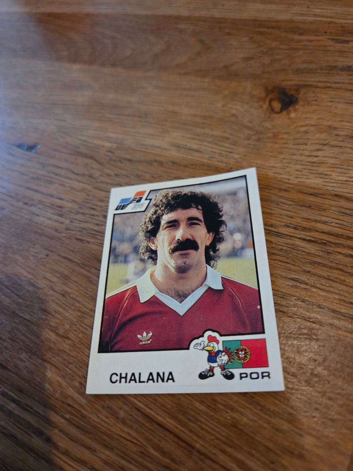 Panini EK 84, Ophalen of Verzenden, Zo goed als nieuw, Buitenlandse clubs, Poster, Plaatje of Sticker