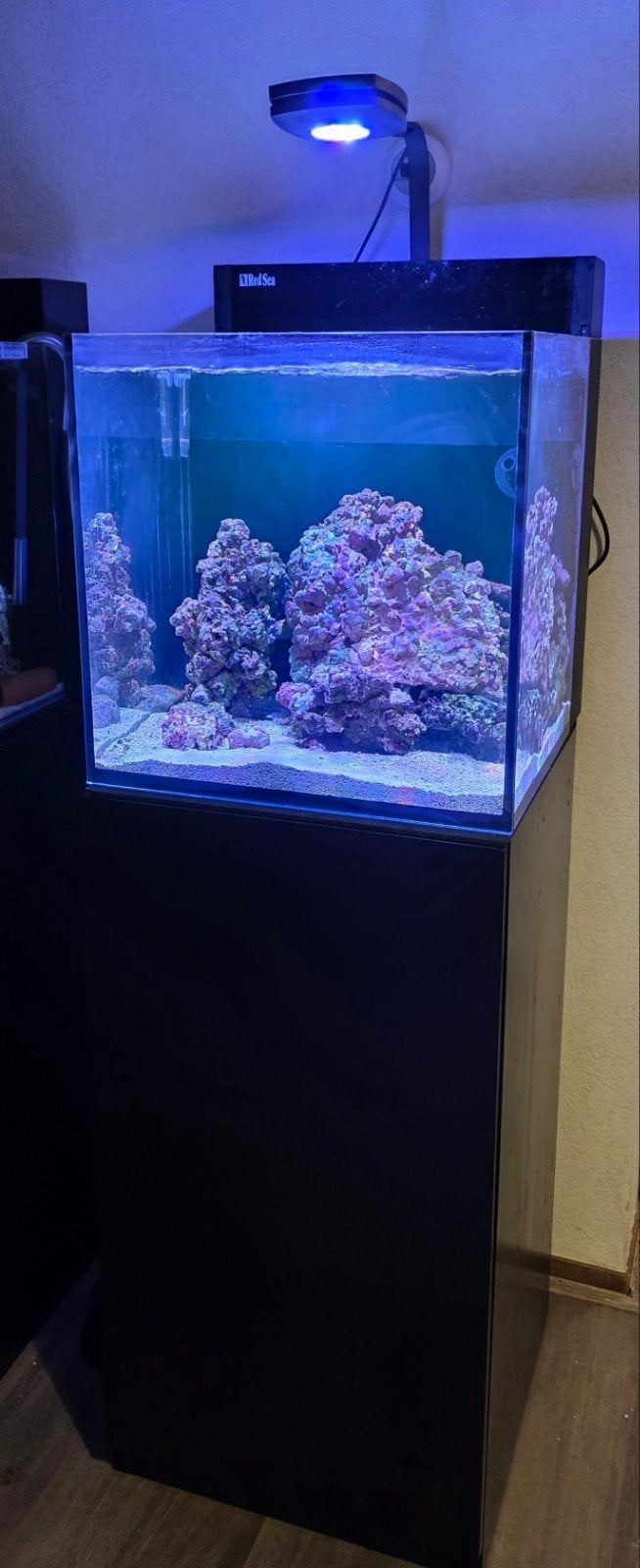 Red Sea MAX Nano 75L compleet zeeaquarium + Al Prime, Ophalen