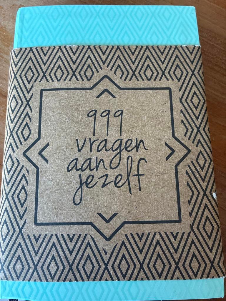 Boek: 999 vragen aan jezelf - Ontdek jezelf, Boeken, Ophalen of Verzenden, Nieuw