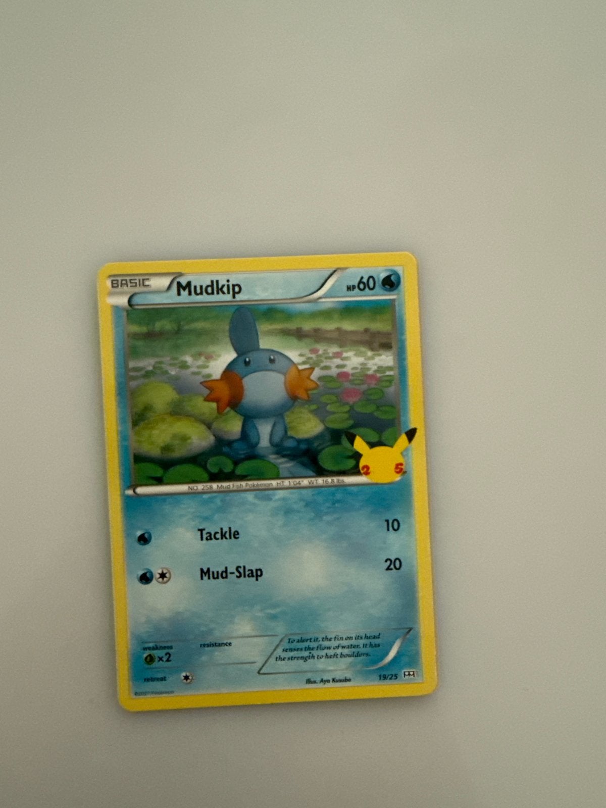 Pokémon Mudkip Celebrations 19/25 Kaart macdonald promo, Ophalen of Verzenden, Zo goed als nieuw, Losse kaart