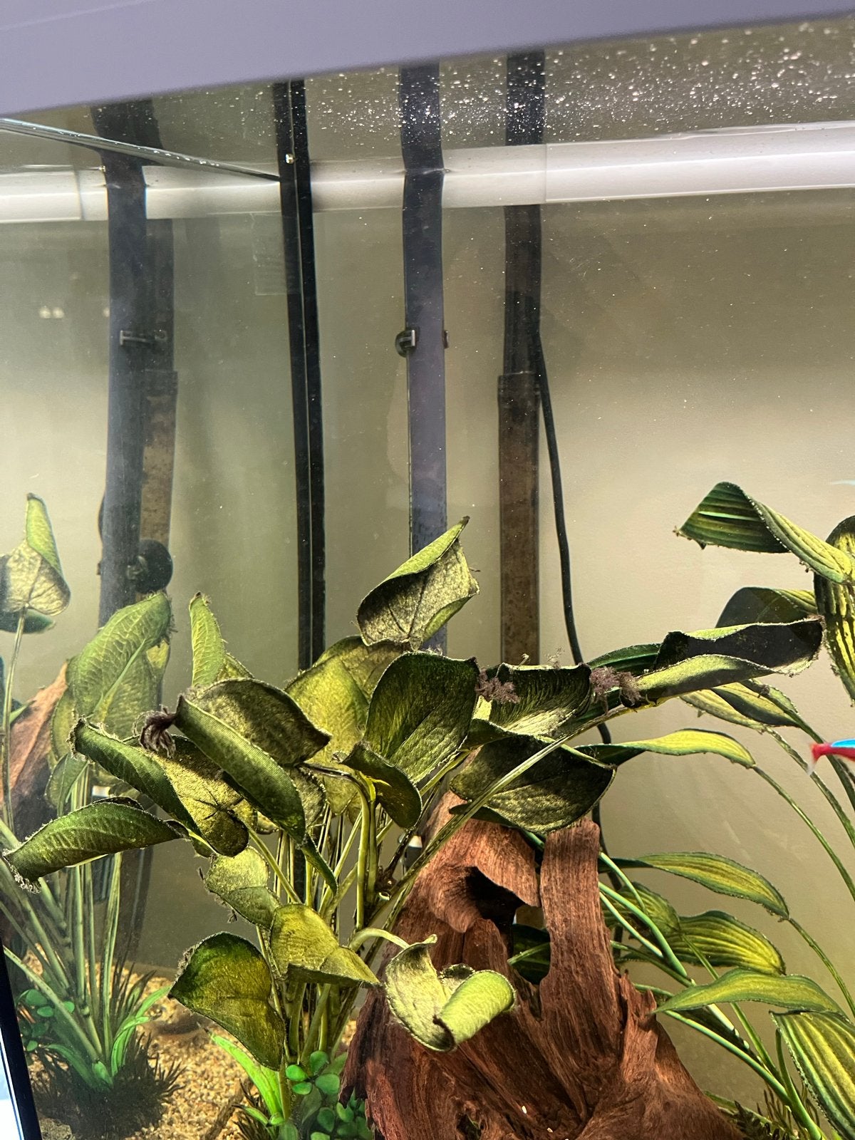 Aquarium met meubel te koop, Ophalen of Verzenden, Zo goed als nieuw, Gevuld zoetwateraquarium