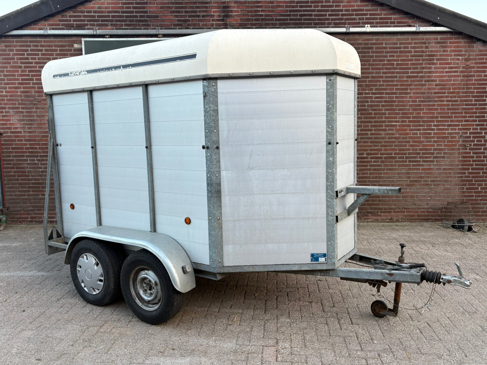 Veetrailer / veekar / paardentrailer /, Vrouwelijk