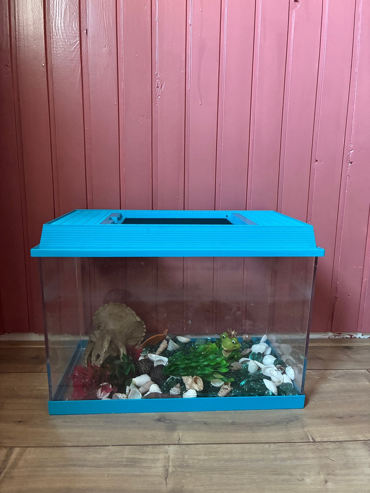 Nooit gebruikt: starter aquarium met decoratie, Ophalen, Inclusief deksel, Nieuw, Leeg aquarium