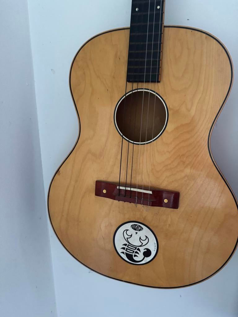 Magic gitaar, Ophalen of Verzenden, Gebruikt, Western- of Steelstringgitaar