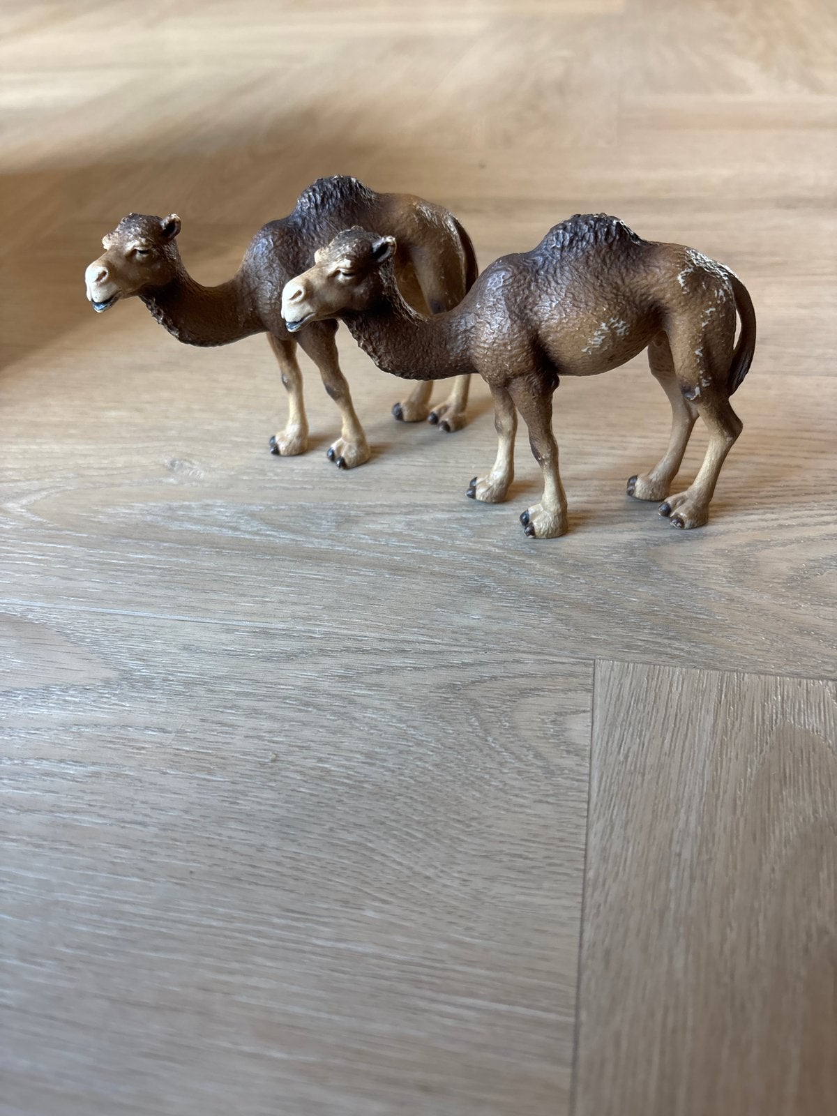 Schleich Drommedarissen, Ophalen of Verzenden, Gebruikt, Jongen of Meisje