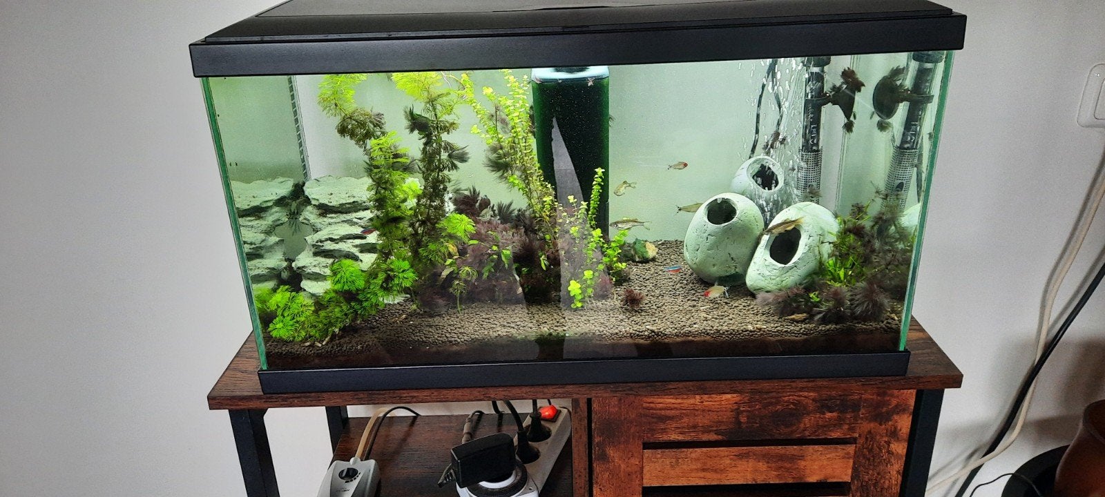 Aquarium 60 ltr, Gebruikt, Gevuld zoetwateraquarium, Juwel, Ophalen
