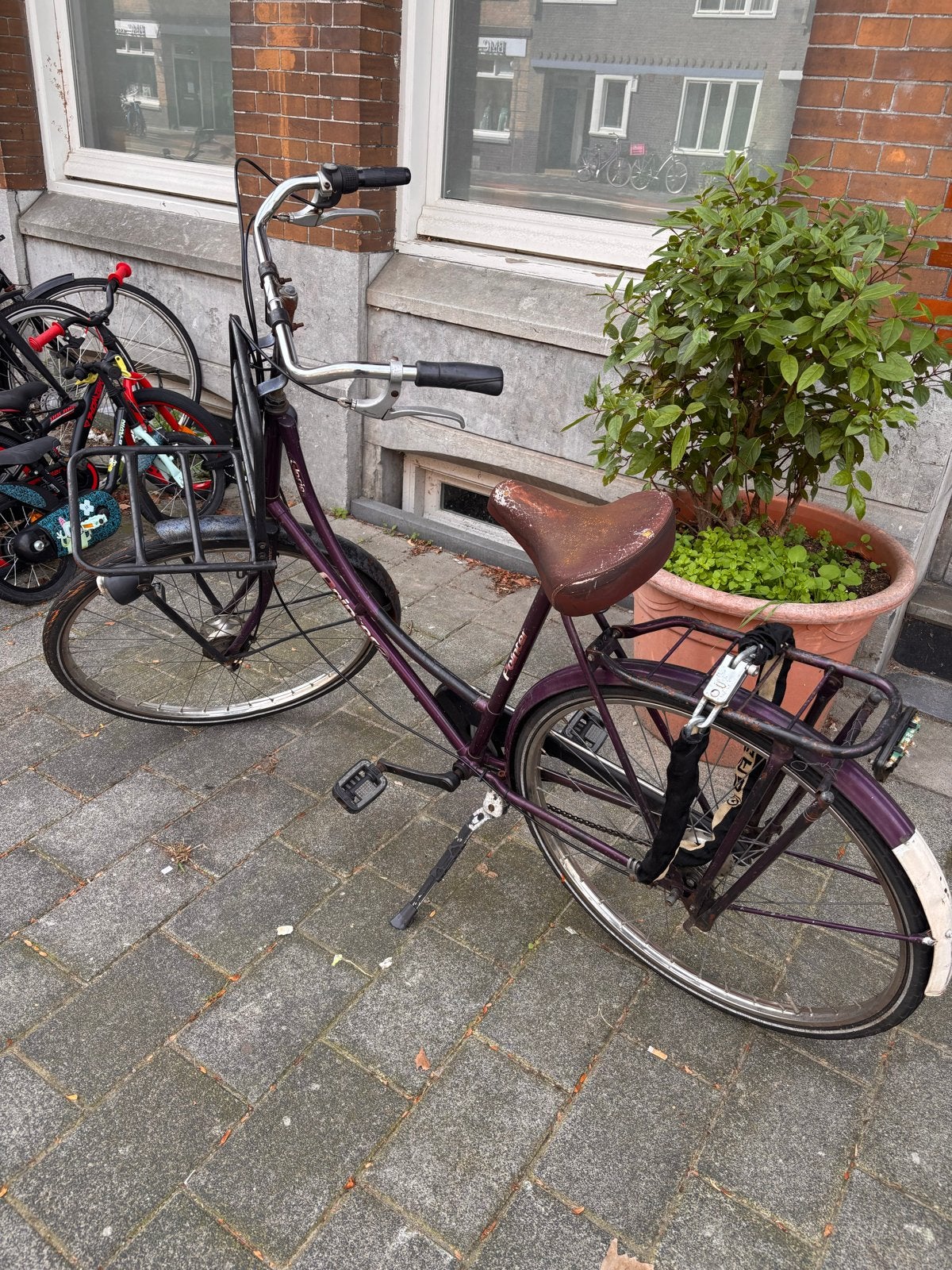 Paarse Pointer Damesfiets met Voordrager