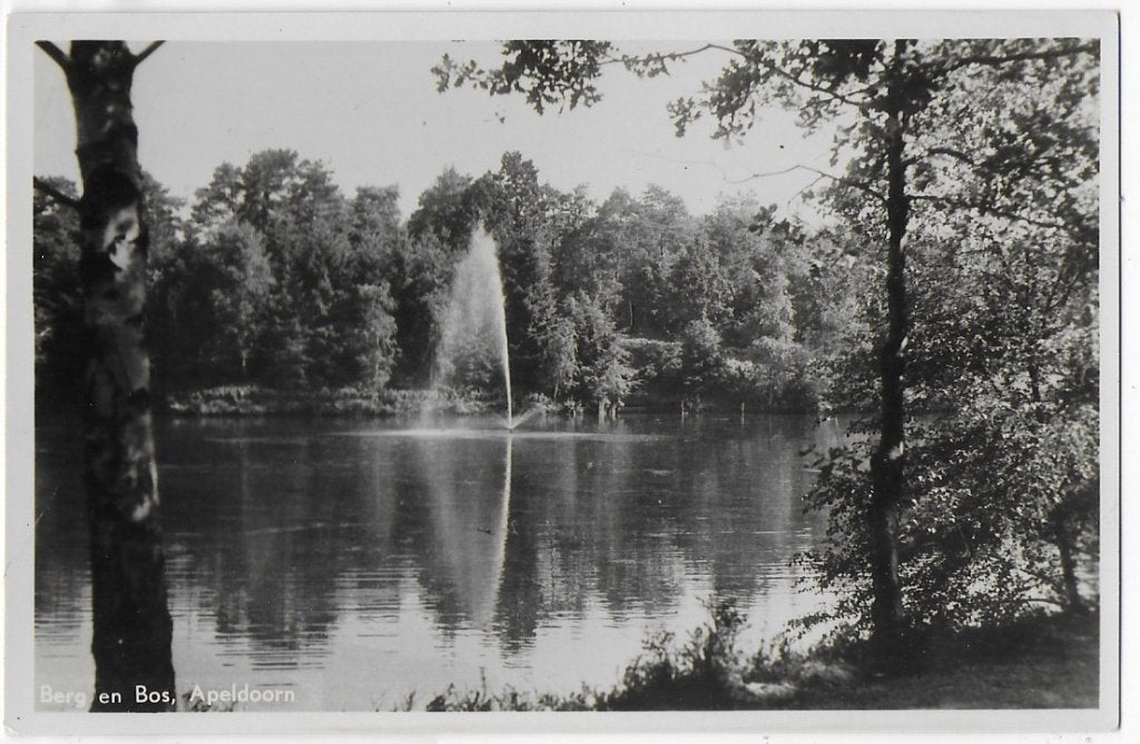 Apeldoorn Berg en Bos Oude Ongelopen Ansichtkaart ( B1689, Ophalen of Verzenden, 1960 tot 1980, Gelopen, Gelderland