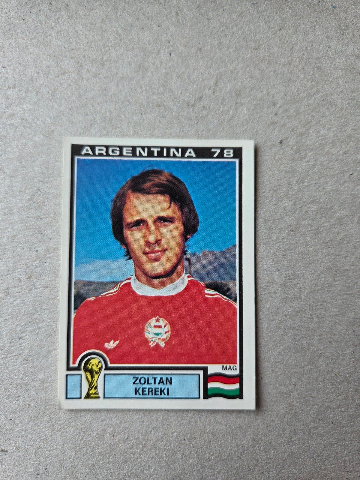 Panini WK 78, Ophalen of Verzenden, Zo goed als nieuw, Sticker