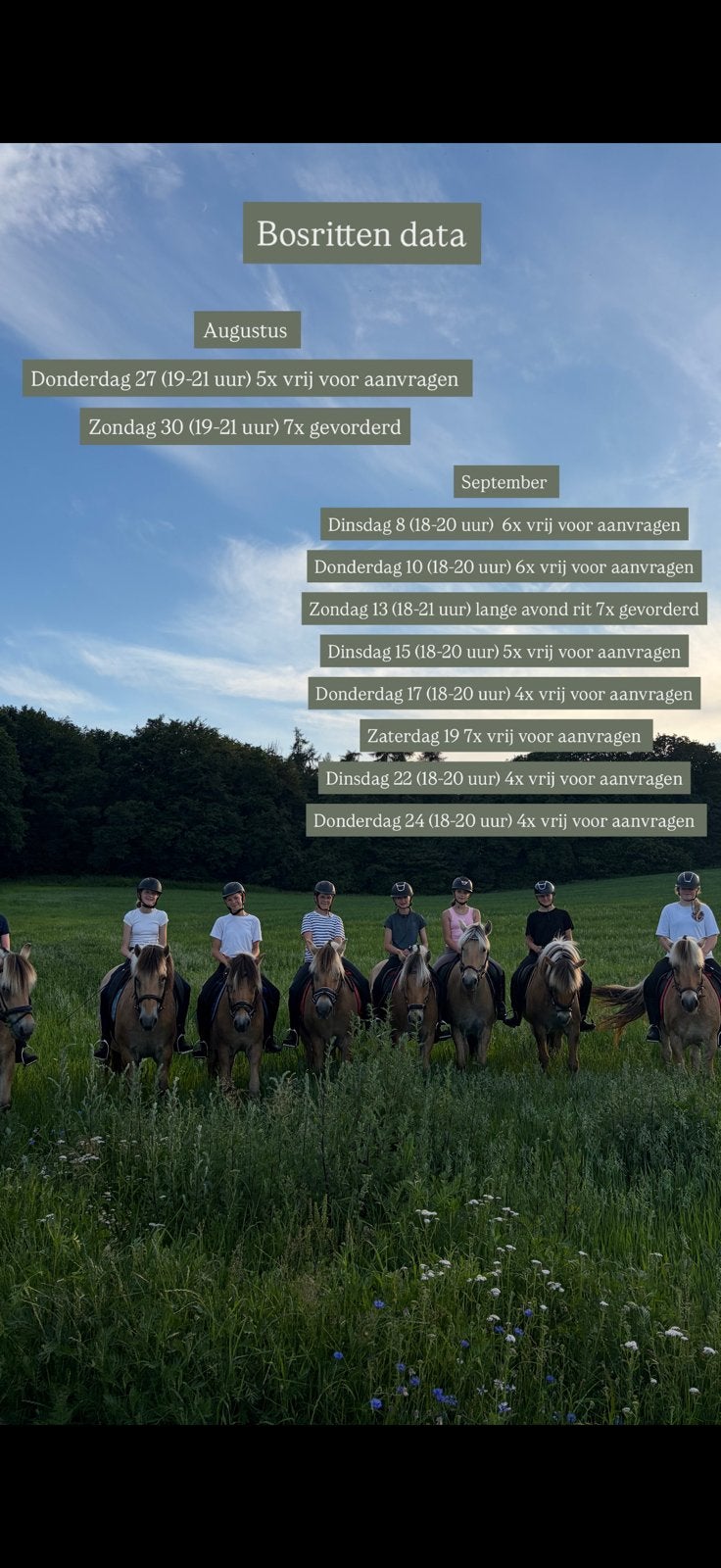 Bosritten montferlandbos