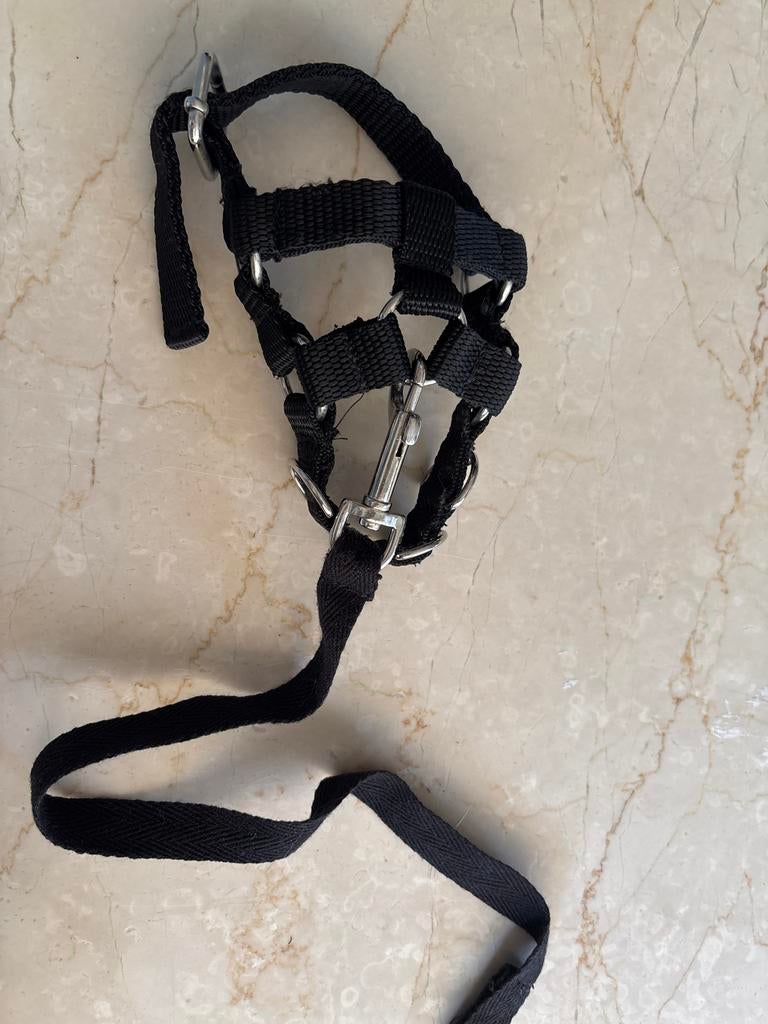 Crafty ponies halter, Ophalen of Verzenden, Zo goed als nieuw