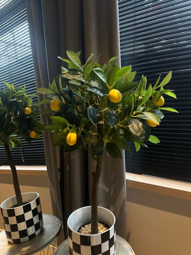 Decoratieve Kunst Citroenboom - Realistisch en Onderhoudsvri, Ophalen of Verzenden, Zo goed als nieuw, Binnen