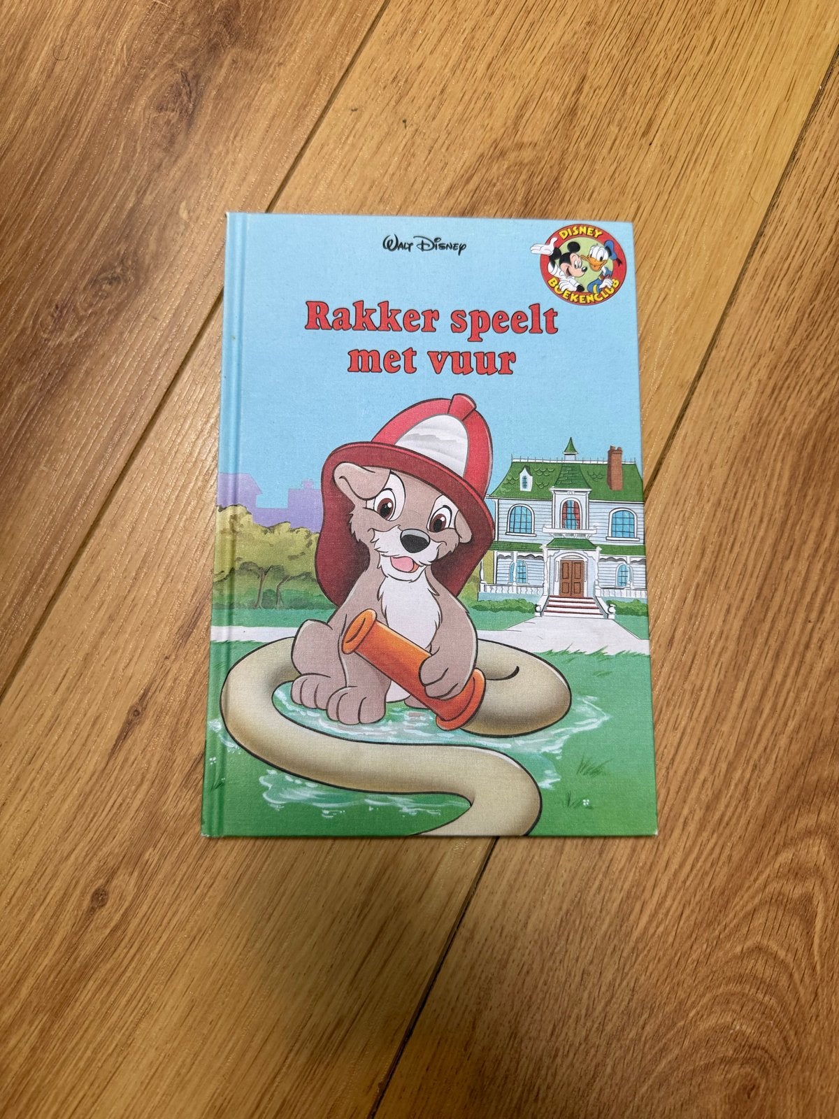 Rakker speelt met vuur - Disney Boekenclub, Ophalen of Verzenden, Zo goed als nieuw, Fictie algemeen