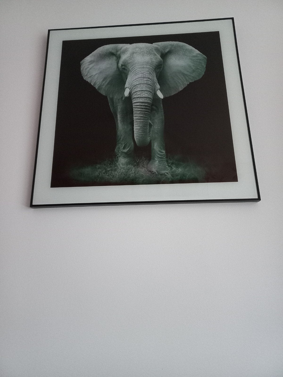 Schilderij olifant met glasplaat 57x57cm, Ophalen, 50 – 75, Gebruikt, Schilderij