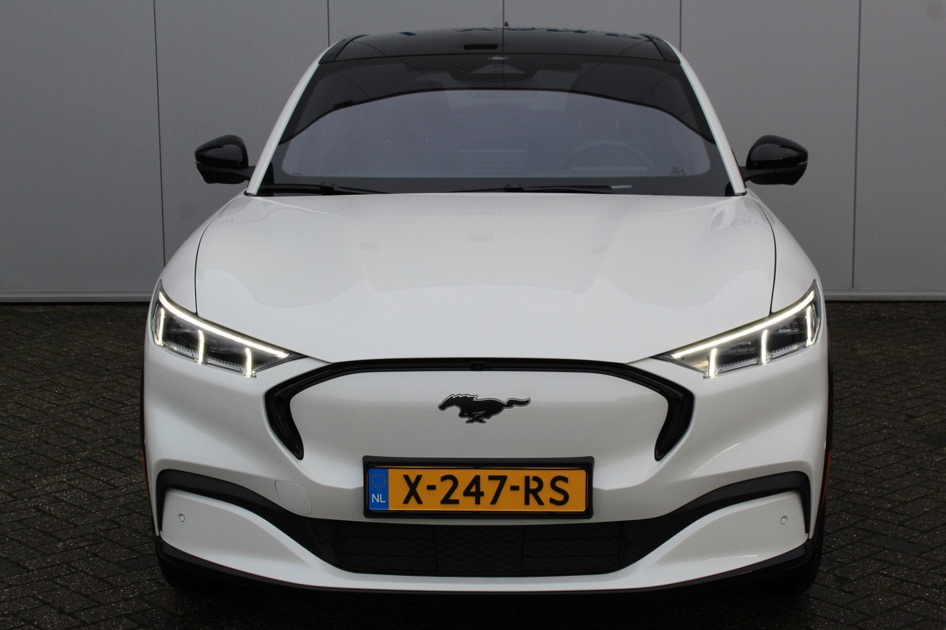 Ford Mustang Mach-E 75kWh/269pk AWD Premium AUTOMAAT volledi, 12 maanden, Gebruikt, 412 min, 24 min