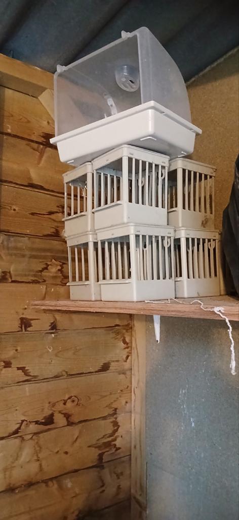 10 kanaries nestkasjes 4 waterflesjes, Dieren en Toebehoren, Ophalen of Verzenden, Hout, Vogelkooi