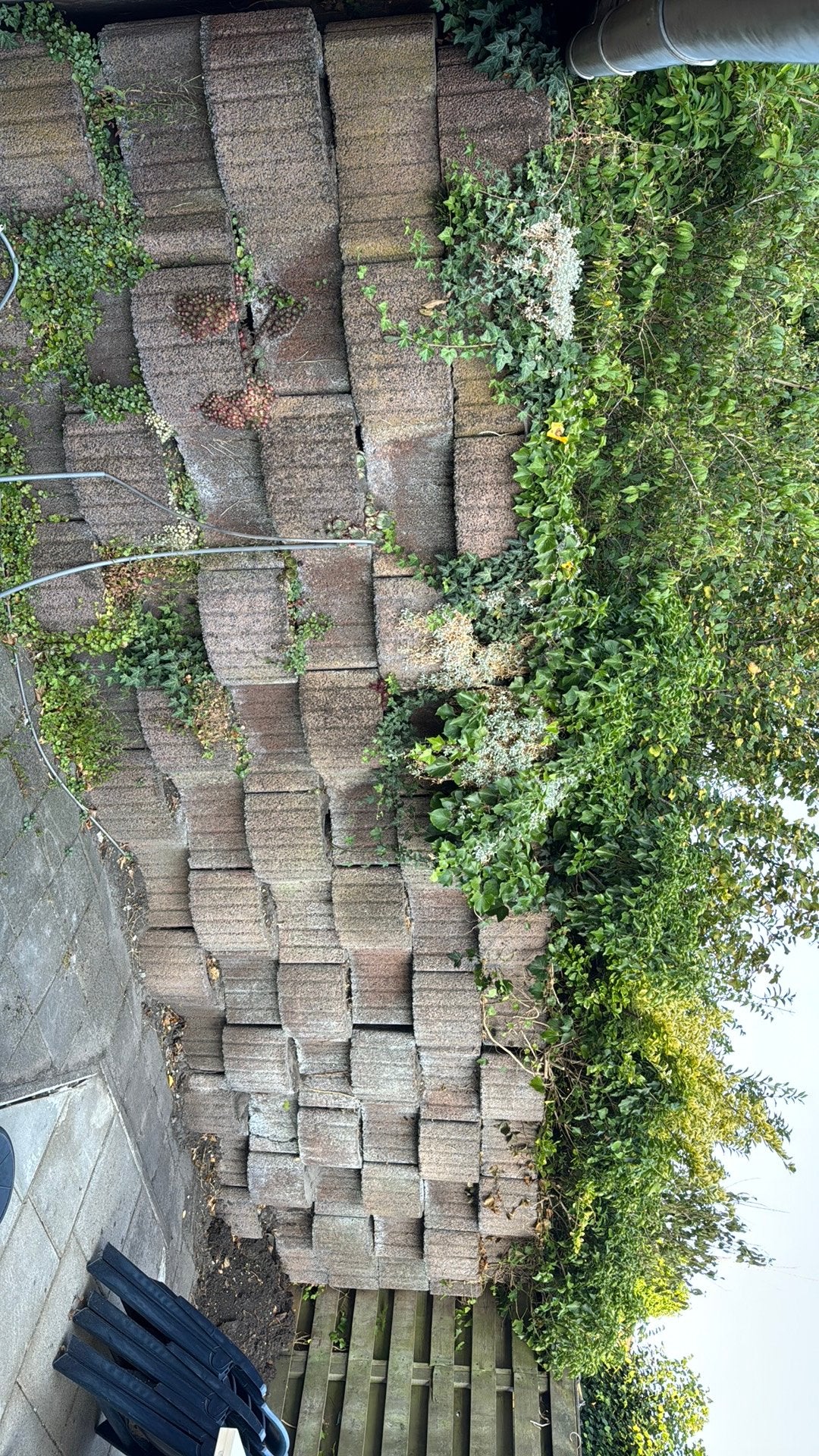 GRATIS - Plantblokken / begroeiingsblokken, Ophalen, Zo goed als nieuw, Beton, Klinkers