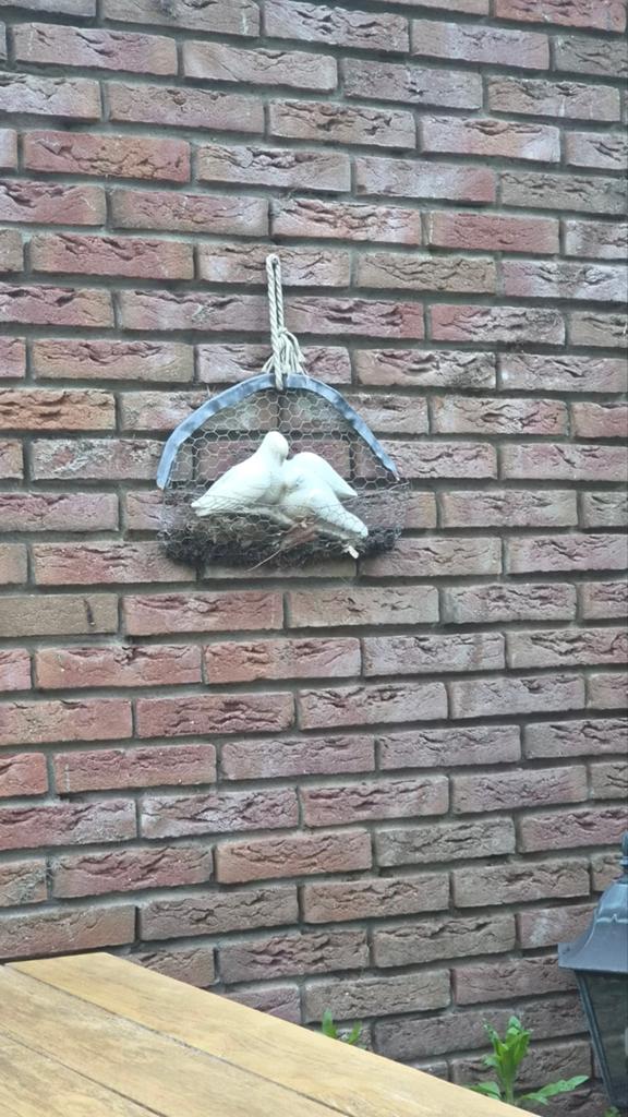 Decoratieve duiven op steen voor tuin of muur, Gebruikt, Ophalen of Verzenden, Landelijk, Wit