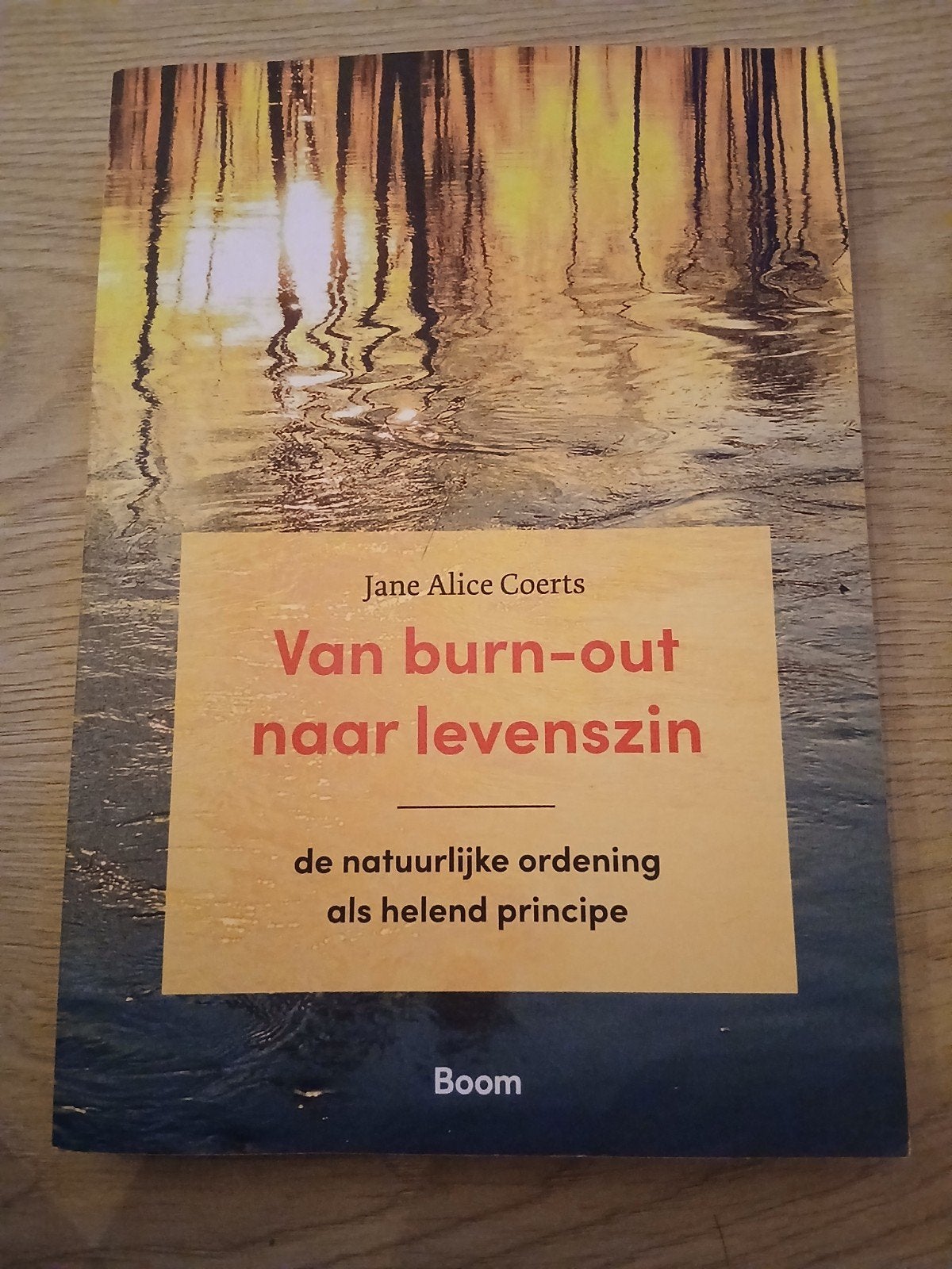 Van burn-out naar levenszin - Jane Alice Coerts, Ophalen, Zo goed als nieuw, Gezondheid en Conditie, Jane Alice Coerts