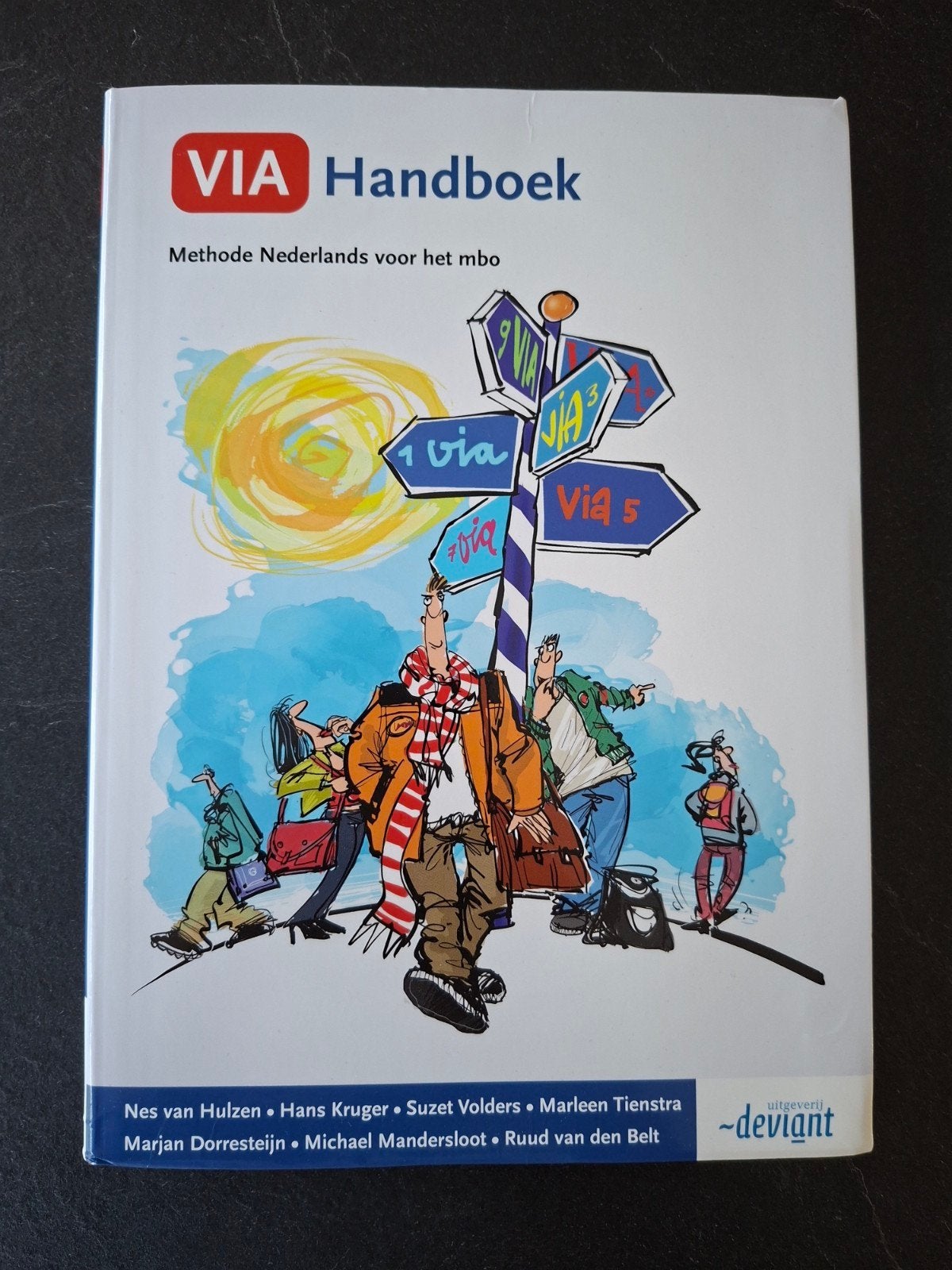 VIA handboek, Boeken, Nieuw, Ophalen of Verzenden, Ruud van den Belt; Suzet Volders; Marleen Tienstra; Marjan Do..., Nederlands