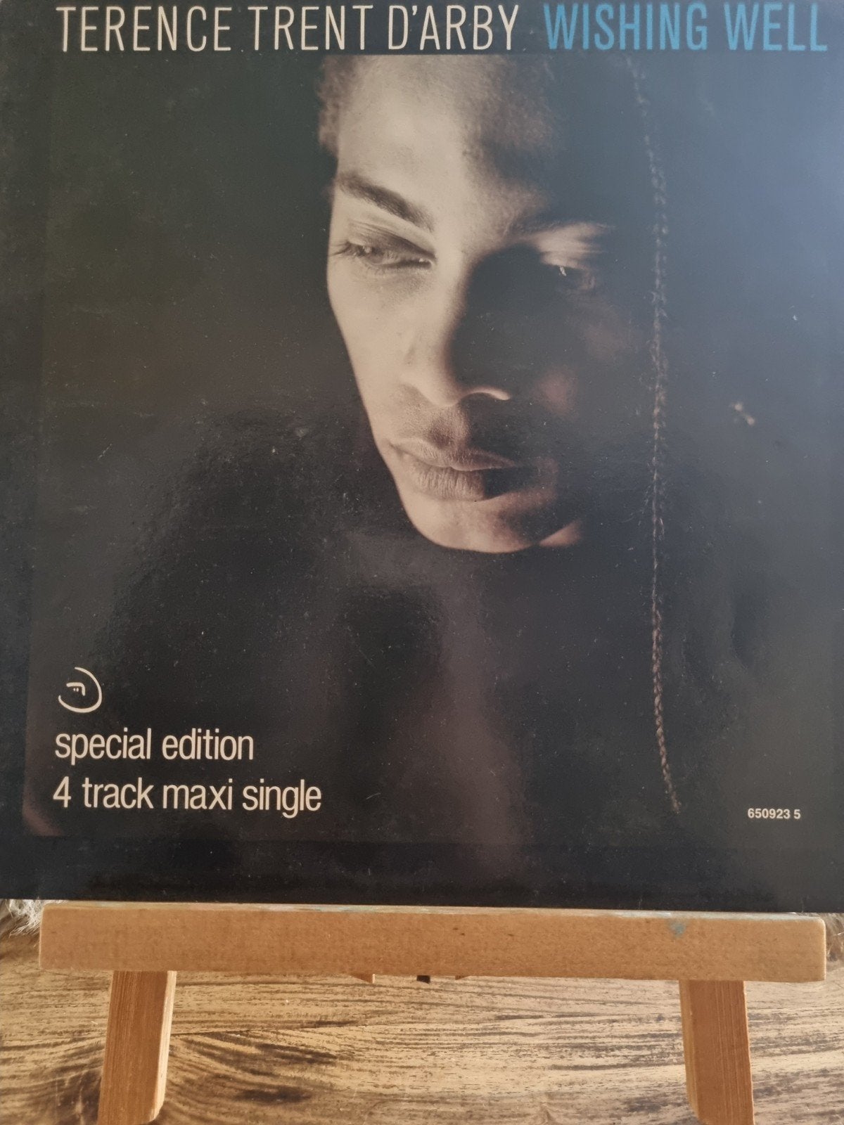 Terence Trent D'Arby - Wishing Well Edition Maxi-Sin, Gebruikt, Speciale editie, Ophalen of Verzenden, Pop