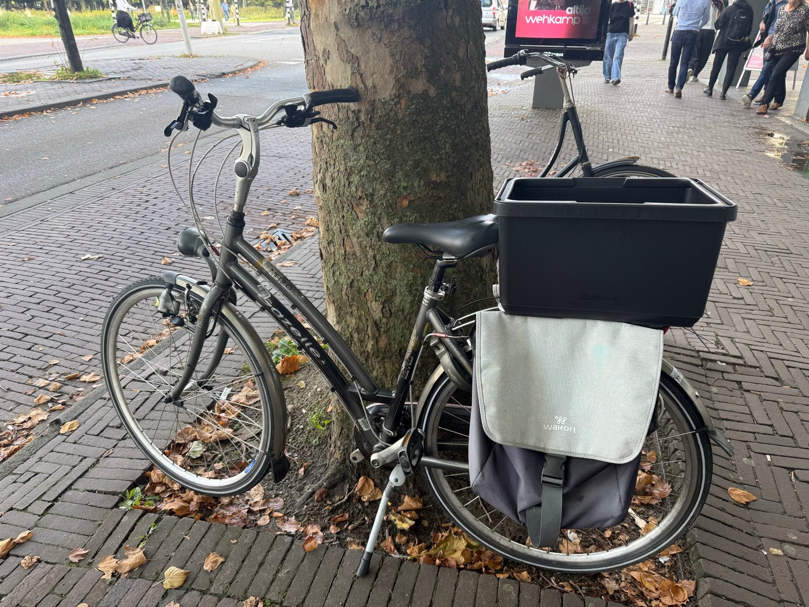 Gazelle Modeo fiets, Ophalen, Velgrem, Versnellingen, Gazelle
